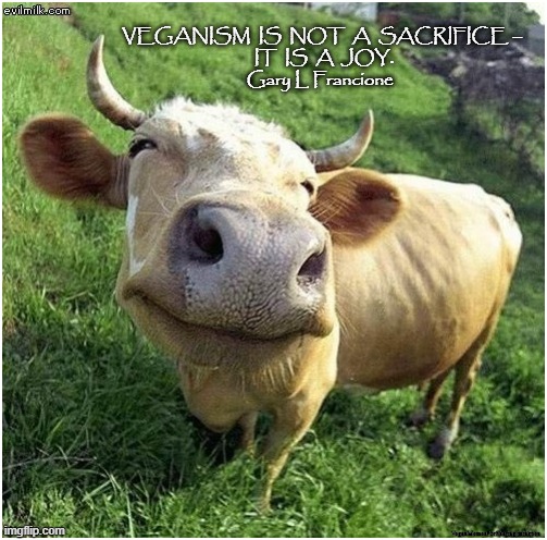 Veganism | VEGANISM  IS  NOT  A  SACRIFICE – 
IT  IS  A  JOY.
Gary L Francione; VeganMemesForSharing/minkpen | image tagged in vegan,vegetarian,bacon,hamburger,cheese,chicken | made w/ Imgflip meme maker
