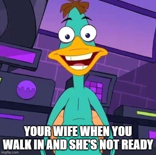Doof platypus | YOUR WIFE WHEN YOU WALK IN AND SHE'S NOT READY | image tagged in doof platypus | made w/ Imgflip meme maker