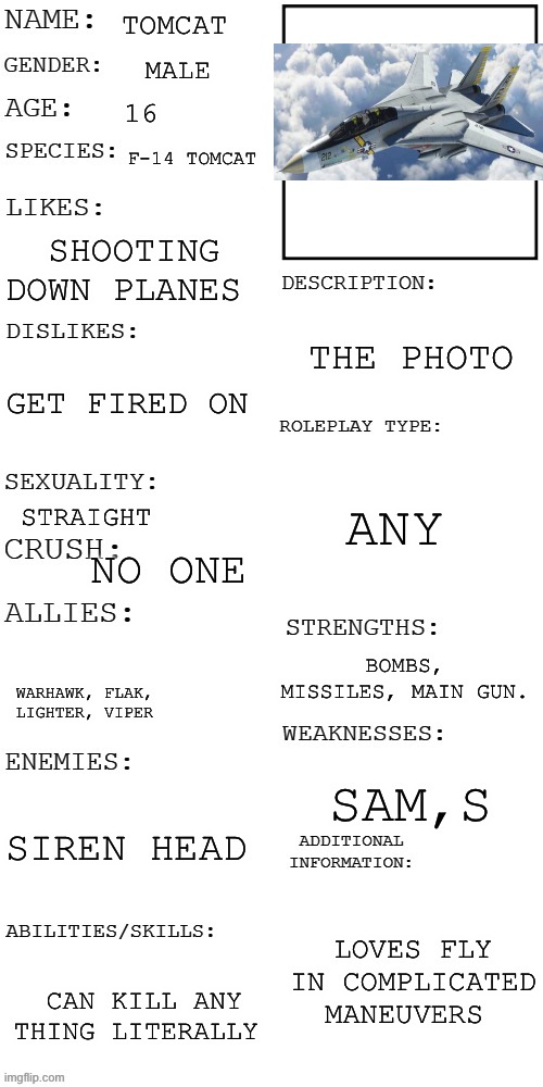 Tomcat | TOMCAT; MALE; 16; F-14 TOMCAT; SHOOTING DOWN PLANES; THE PHOTO; GET FIRED ON; ANY; STRAIGHT; NO ONE; BOMBS, MISSILES, MAIN GUN. WARHAWK, FLAK, LIGHTER, VIPER; SAM,S; SIREN HEAD; LOVES FLY IN COMPLICATED MANEUVERS; CAN KILL ANY THING LITERALLY | image tagged in updated roleplay oc showcase | made w/ Imgflip meme maker