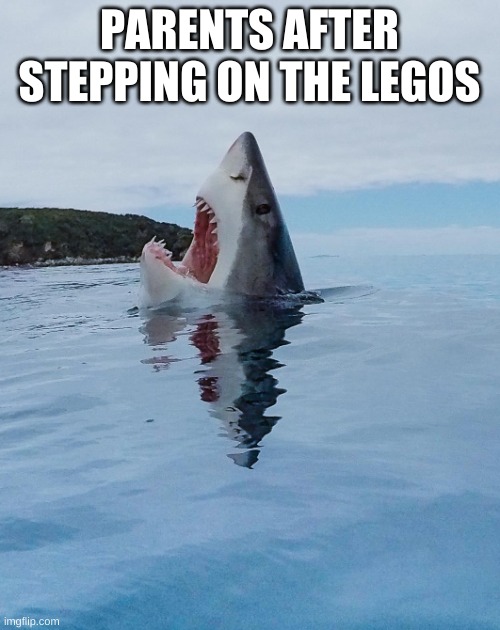 Rare image of a shark stepping on a Lego | PARENTS AFTER STEPPING ON THE LEGOS | image tagged in rare image of a shark stepping on a lego | made w/ Imgflip meme maker