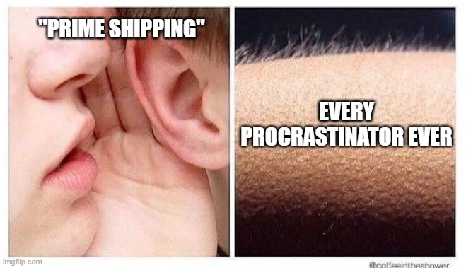 chills | "PRIME SHIPPING"; EVERY PROCRASTINATOR EVER | image tagged in chills,procrastination,procrastinate | made w/ Imgflip meme maker
