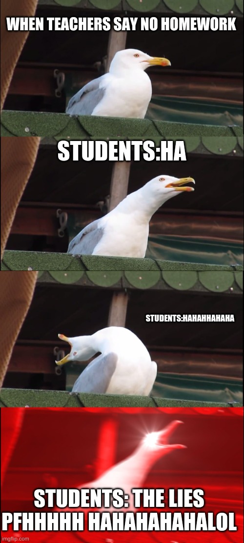 idk im bored and i need views and follows | WHEN TEACHERS SAY NO HOMEWORK; STUDENTS:HA; STUDENTS:HAHAHHAHAHA; STUDENTS: THE LIES PFHHHHH HAHAHAHAHALOL | image tagged in memes,inhaling seagull | made w/ Imgflip meme maker