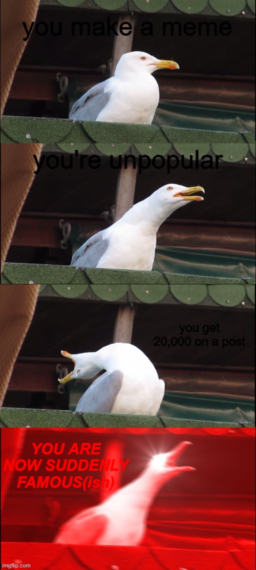 Inhaling Seagull | you make a meme; you're unpopular; you get 20,000 on a post; YOU ARE NOW SUDDENLY FAMOUS(ish) | image tagged in memes,inhaling seagull | made w/ Imgflip meme maker