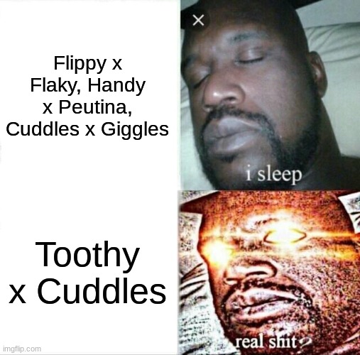 HTF Relationships be like... | Flippy x Flaky, Handy x Peutina, Cuddles x Giggles; Toothy x Cuddles | image tagged in memes,sleeping shaq | made w/ Imgflip meme maker