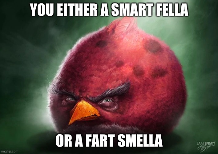 the w | YOU EITHER A SMART FELLA; OR A FART SMELLA | image tagged in hentai anime girl,furry,anime girl | made w/ Imgflip meme maker