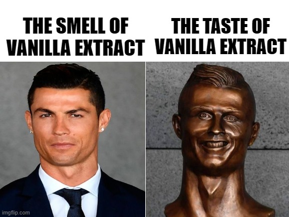 the taste of vanilla extract | THE TASTE OF VANILLA EXTRACT; THE SMELL OF VANILLA EXTRACT | image tagged in memes,fun,funny,cristiano ronaldo | made w/ Imgflip meme maker