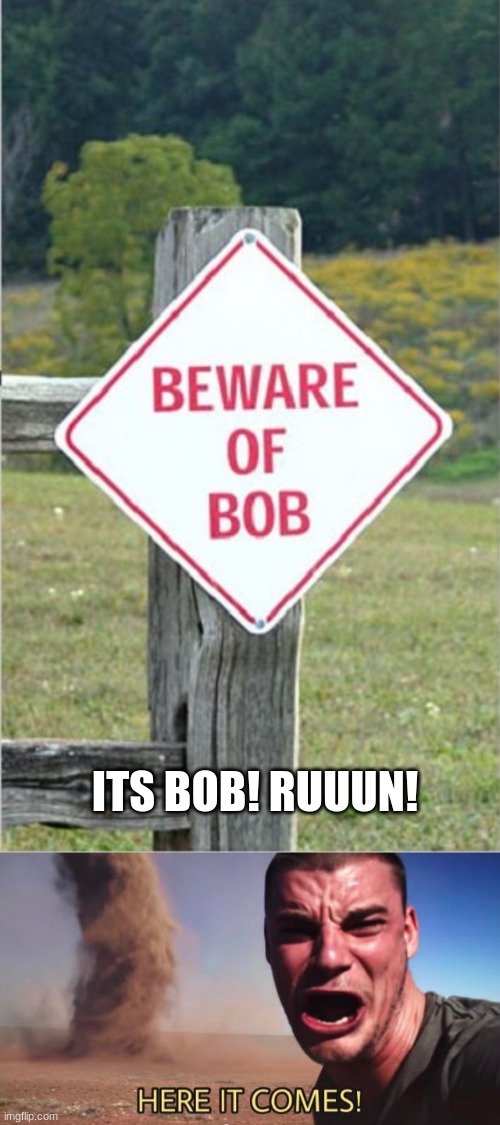 Bob is coming! Beware! | ITS BOB! RUUUN! | image tagged in here it comes | made w/ Imgflip meme maker
