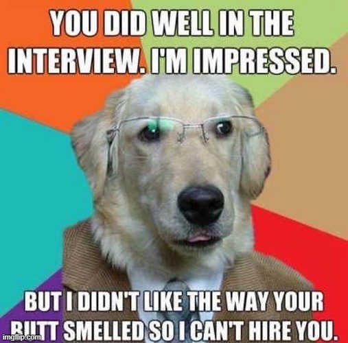 Canine HR | image tagged in wow you failed this job | made w/ Imgflip meme maker