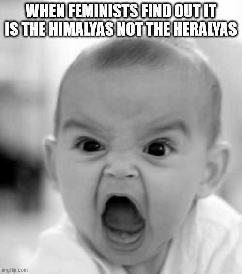 Angry Baby Meme | WHEN FEMINISTS FIND OUT IT IS THE HIMALYAS NOT THE HERALYAS | image tagged in memes,angry baby | made w/ Imgflip meme maker