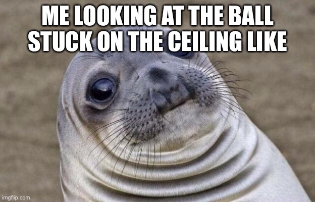 Awkward Moment Sealion | ME LOOKING AT THE BALL STUCK ON THE CEILING LIKE | image tagged in memes,awkward moment sealion | made w/ Imgflip meme maker