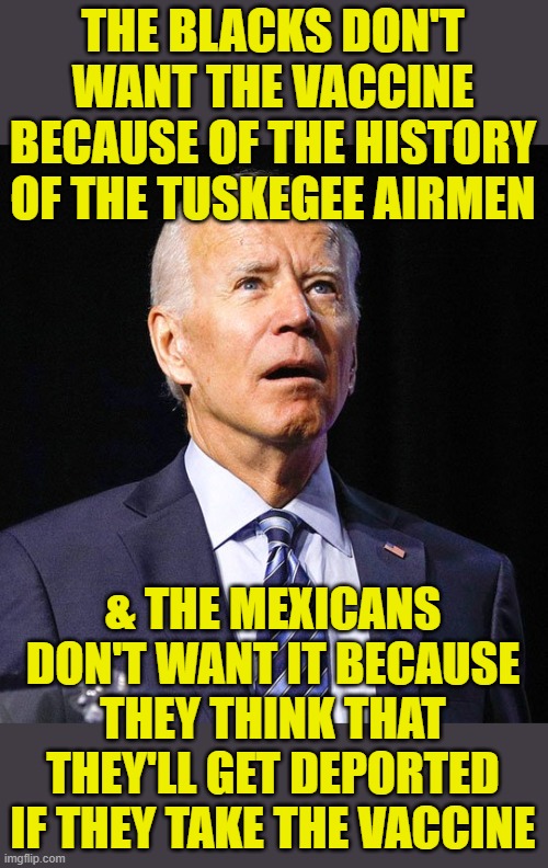 Joe Biden | THE BLACKS DON'T WANT THE VACCINE BECAUSE OF THE HISTORY OF THE TUSKEGEE AIRMEN & THE MEXICANS DON'T WANT IT BECAUSE THEY THINK THAT THEY'LL | image tagged in joe biden | made w/ Imgflip meme maker