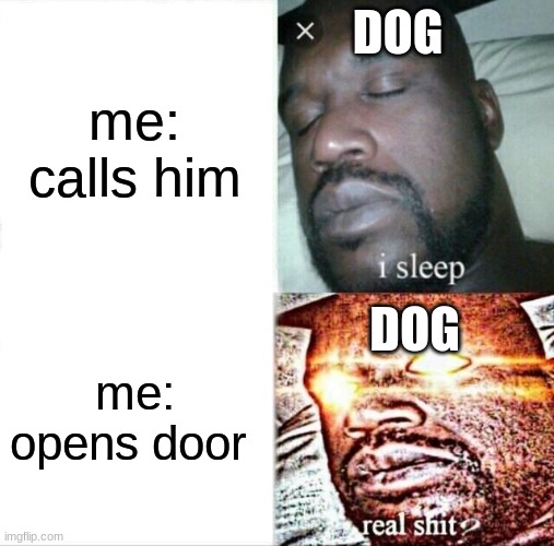 Sleeping Shaq | DOG; me: calls him; DOG; me:
opens door | image tagged in memes,sleeping shaq | made w/ Imgflip meme maker