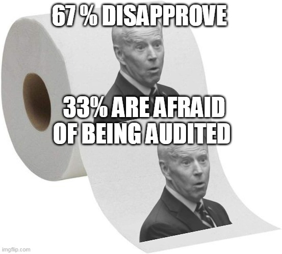 87,000 more IRS Agents? (Just to get those RICH People WITH OVER $600) | 67 % DISAPPROVE; 33% ARE AFRAID OF BEING AUDITED | image tagged in memes | made w/ Imgflip meme maker