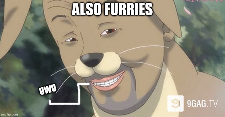 Weird anime hentai furry | ALSO FURRIES UWU | image tagged in weird anime hentai furry | made w/ Imgflip meme maker