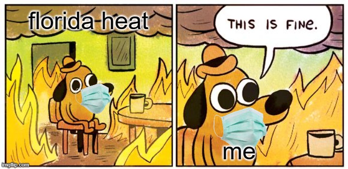 florida | florida heat; me | image tagged in memes,this is fine | made w/ Imgflip meme maker