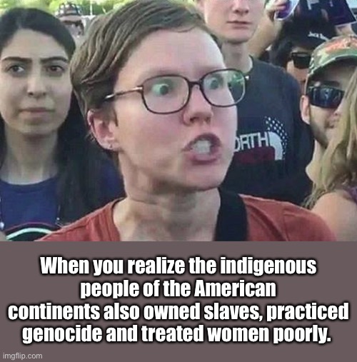 But that’s was different. | When you realize the indigenous people of the American continents also owned slaves, practiced genocide and treated women poorly. | image tagged in triggered liberal,memes,politics lol | made w/ Imgflip meme maker