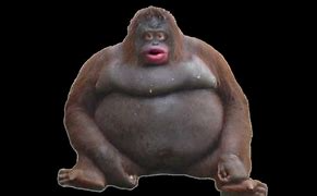 monke Blank Meme Template