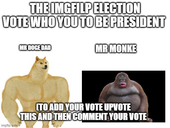 Blank White Template | THE IMGFILP ELECTION VOTE WHO YOU TO BE PRESIDENT; MR MONKE; MR DOGE DAD; (TO ADD YOUR VOTE UPVOTE THIS AND THEN COMMENT YOUR VOTE | image tagged in blank white template | made w/ Imgflip meme maker