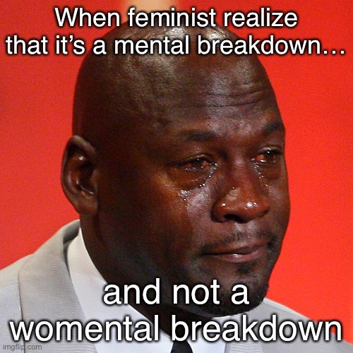 Feminist sad time :( |  When feminist realize that it’s a mental breakdown…; and not a womental breakdown | image tagged in black guy crying | made w/ Imgflip meme maker