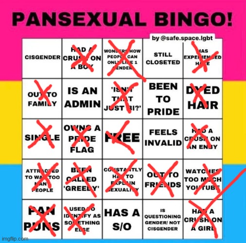 pan bingo | image tagged in pansexual bingo | made w/ Imgflip meme maker