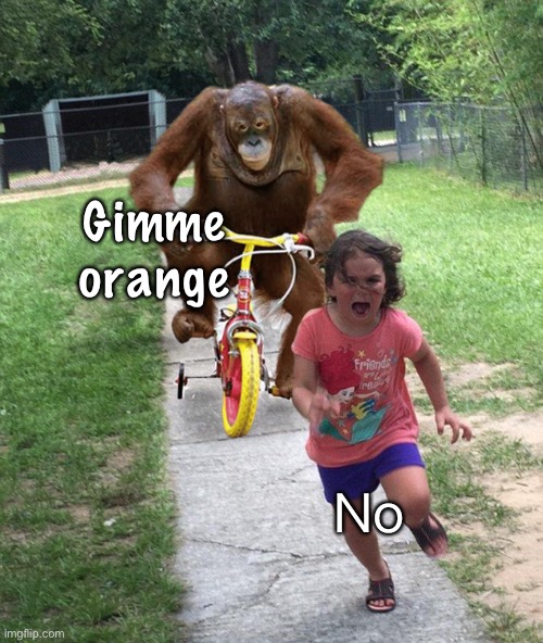 Orangutan chasing girl on a tricycle | Gimme orange No | image tagged in orangutan chasing girl on a tricycle | made w/ Imgflip meme maker