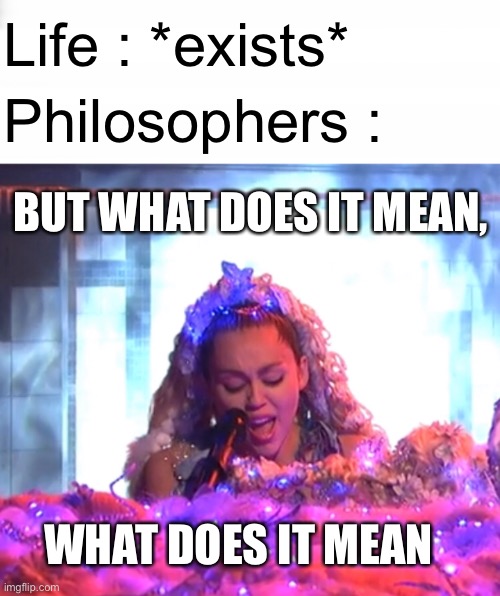 Twinkle song | Life : *exists*; Philosophers :; BUT WHAT DOES IT MEAN, WHAT DOES IT MEAN | image tagged in miley cyrus | made w/ Imgflip meme maker