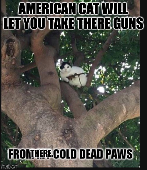 Come and and take | AMERICAN CAT WILL LET YOU TAKE THERE GUNS; THERE. | image tagged in guns,ar-15,second amendment,usa | made w/ Imgflip meme maker