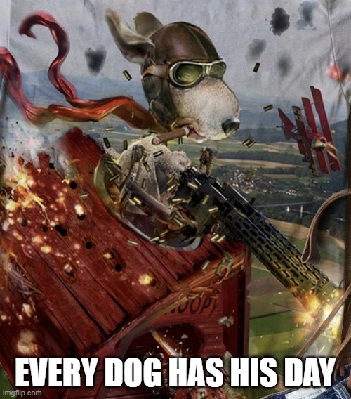Snoopy and the Red Baron | EVERY DOG HAS HIS DAY | image tagged in snoopy and the red baron | made w/ Imgflip meme maker