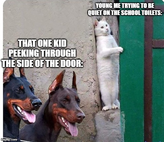 they find the person on the toilet half the time lol | YOUNG ME TRYING TO BE QUIET ON THE SCHOOL TOILETS:; THAT ONE KID PEEKING THROUGH THE SIDE OF THE DOOR: | image tagged in hidden cat | made w/ Imgflip meme maker