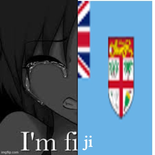 fiji | ji | image tagged in imfine,memes | made w/ Imgflip meme maker