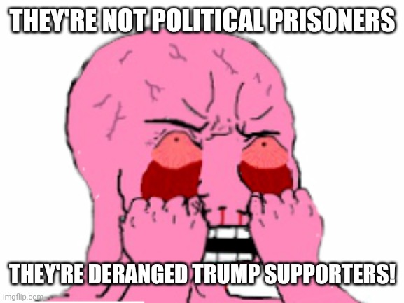 THEY'RE NOT POLITICAL PRISONERS THEY'RE DERANGED TRUMP SUPPORTERS! | made w/ Imgflip meme maker