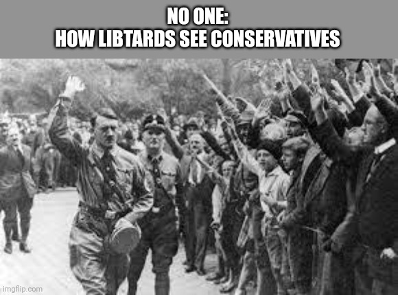 Conservatives | NO ONE:
HOW LIBTARDS SEE CONSERVATIVES | image tagged in nazi germany approves | made w/ Imgflip meme maker