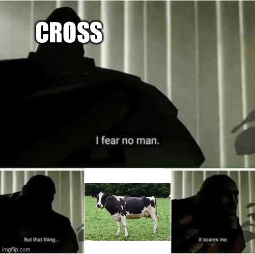 Only cross fans understand | CROSS | image tagged in i fear no man | made w/ Imgflip meme maker