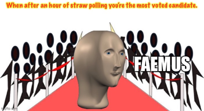 I must be doing something right, lmao. :) | When after an hour of straw polling you’re the most voted candidate. | image tagged in faemus meme man | made w/ Imgflip meme maker