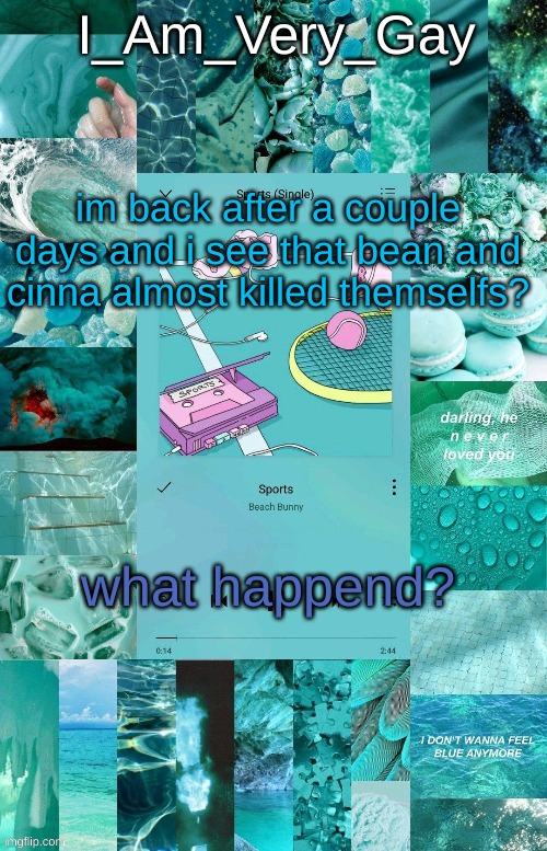 e | im back after a couple days and i see that bean and cinna almost killed themselfs? what happend? | image tagged in beach bunny template | made w/ Imgflip meme maker