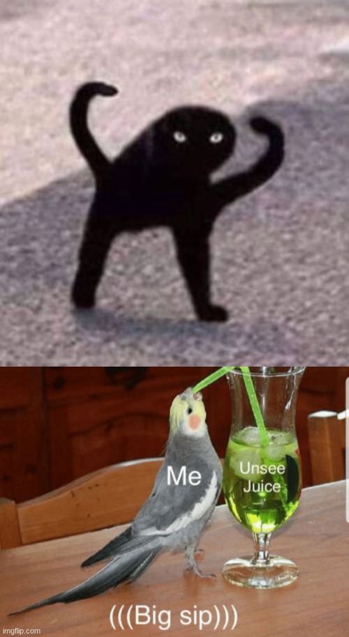 Cursed Cat is cursed | image tagged in unsee juice,cat,black cat,meme,cat meme,cursed image | made w/ Imgflip meme maker