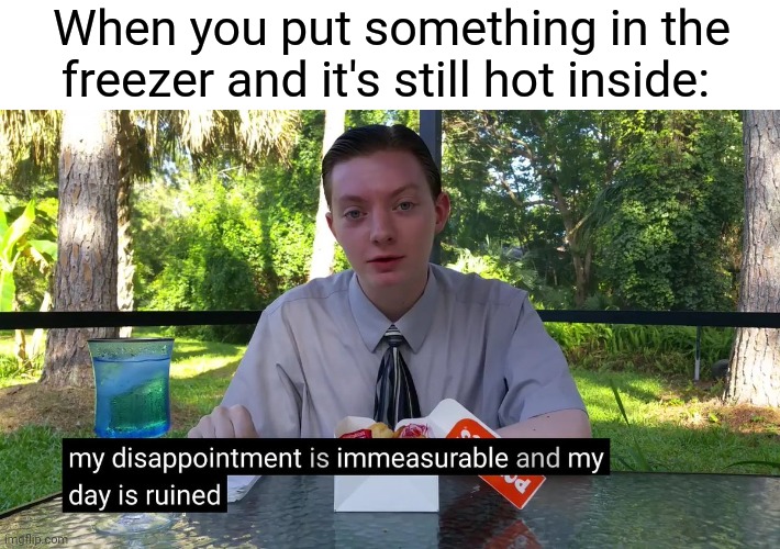 Freezer fail | When you put something in the freezer and it's still hot inside: | image tagged in my disappointment is immeasurable,blank white template,funny,freezer,memes,meme | made w/ Imgflip meme maker