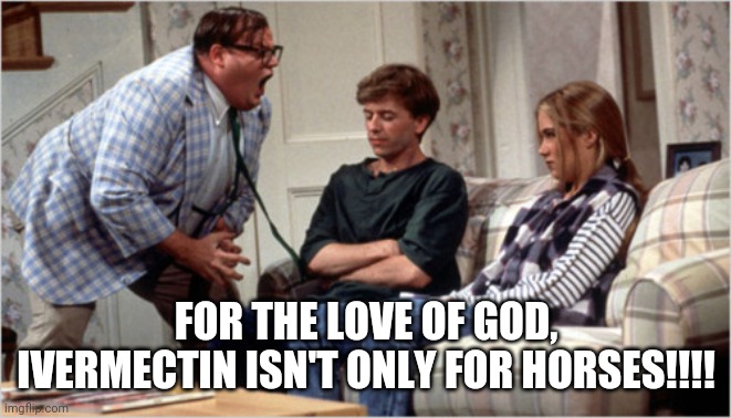 For The Love of God | FOR THE LOVE OF GOD, IVERMECTIN ISN'T ONLY FOR HORSES!!!! | image tagged in for the love of god | made w/ Imgflip meme maker