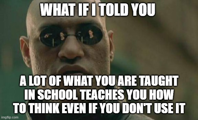 Matrix Morpheus Meme | WHAT IF I TOLD YOU A LOT OF WHAT YOU ARE TAUGHT IN SCHOOL TEACHES YOU HOW TO THINK EVEN IF YOU DON'T USE IT | image tagged in memes,matrix morpheus | made w/ Imgflip meme maker