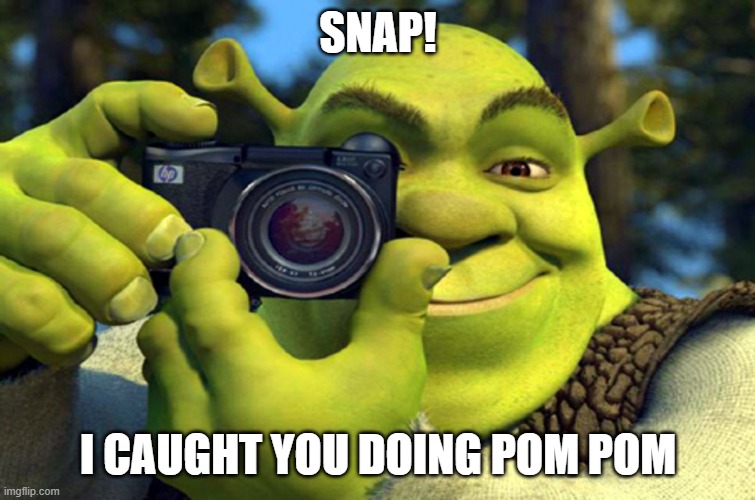 shrek camera | SNAP! I CAUGHT YOU DOING POM POM | image tagged in shrek camera | made w/ Imgflip meme maker