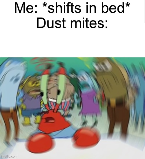 Earthquake |  Me: *shifts in bed*
Dust mites: | image tagged in blank meme template,memes,mr krabs blur meme,random | made w/ Imgflip meme maker