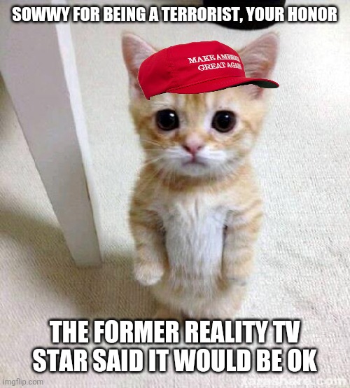 Conservatives be like | SOWWY FOR BEING A TERRORIST, YOUR HONOR; THE FORMER REALITY TV STAR SAID IT WOULD BE OK | image tagged in memes,cute cat,terrorism,terrorists,maga,scumbag republicans | made w/ Imgflip meme maker