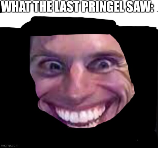 that looks kinda soos tho | WHAT THE LAST PRINGEL SAW: | image tagged in crille,is,nerd | made w/ Imgflip meme maker