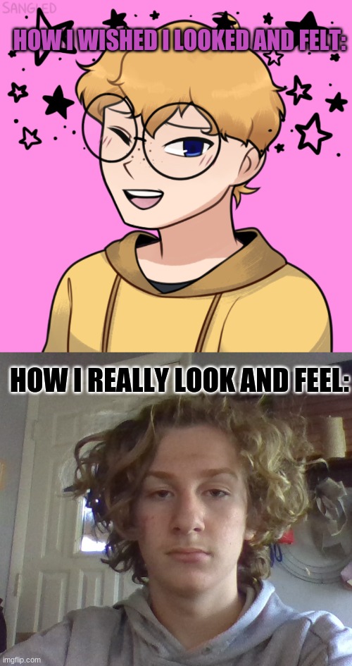 sadly | HOW I WISHED I LOOKED AND FELT:; HOW I REALLY LOOK AND FEEL: | image tagged in sadly | made w/ Imgflip meme maker