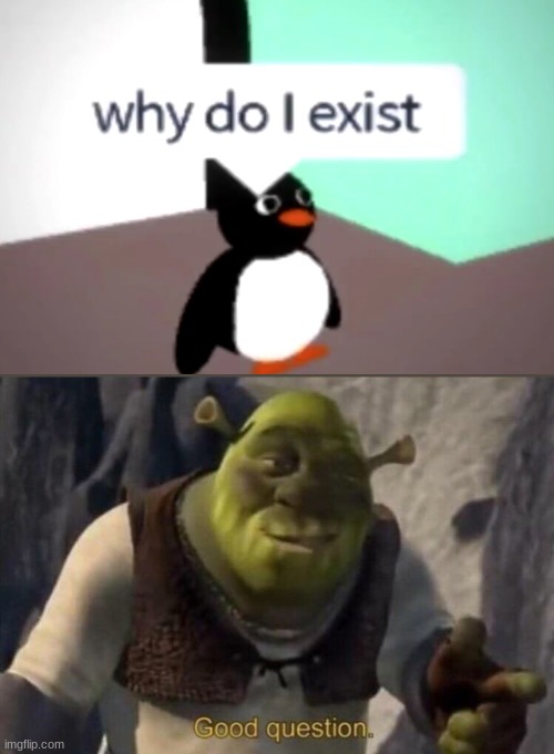 Why do we all exist? | image tagged in shrek good question | made w/ Imgflip meme maker