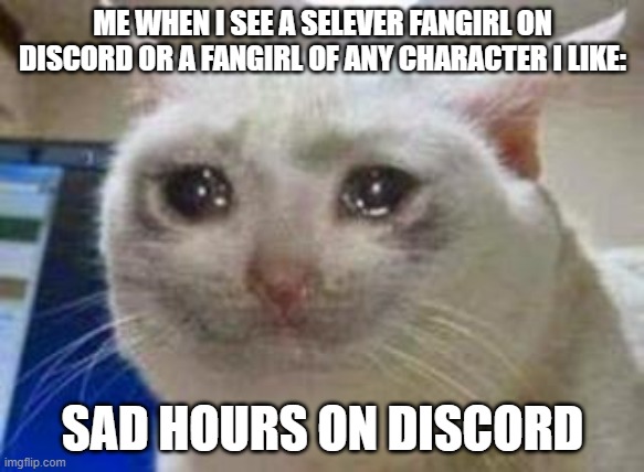 Me when fangirl unless it's my friends and they're cringe: | ME WHEN I SEE A SELEVER FANGIRL ON DISCORD OR A FANGIRL OF ANY CHARACTER I LIKE:; SAD HOURS ON DISCORD | image tagged in sad cat | made w/ Imgflip meme maker