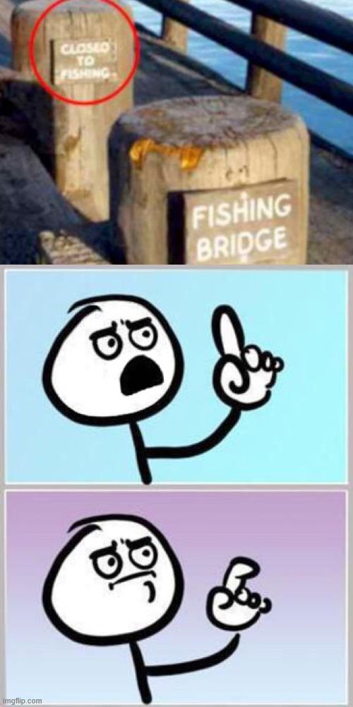 But-- But the fishing-- Wha-- | image tagged in wait what,memes,task failed successfully,ironic | made w/ Imgflip meme maker
