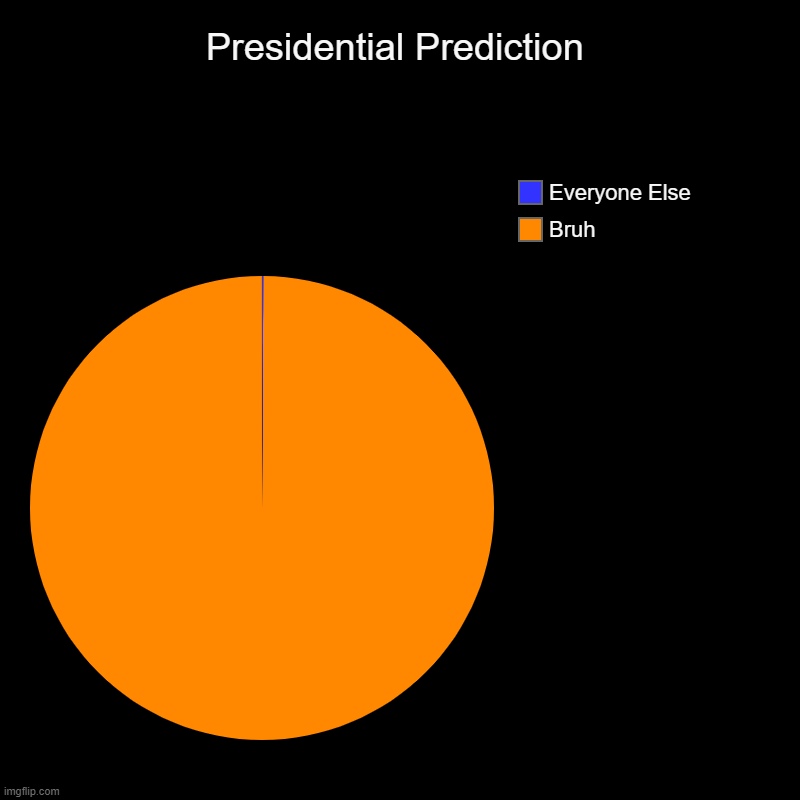 Presidential Prediction | Bruh, Everyone Else | image tagged in charts,pie charts | made w/ Imgflip chart maker