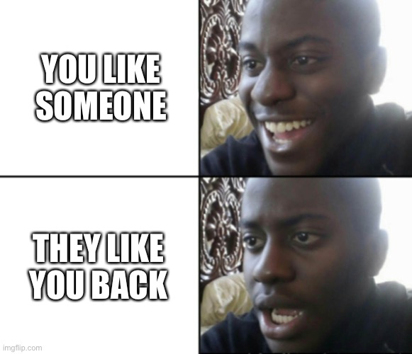 Happy / Shock | YOU LIKE SOMEONE; THEY LIKE YOU BACK | image tagged in happy / shock | made w/ Imgflip meme maker