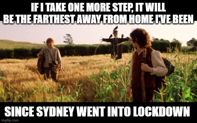 Samwise | IF I TAKE ONE MORE STEP, IT WILL BE THE FARTHEST AWAY FROM HOME I'VE BEEN; SINCE SYDNEY WENT INTO LOCKDOWN | image tagged in samwise,lotrmemes | made w/ Imgflip meme maker